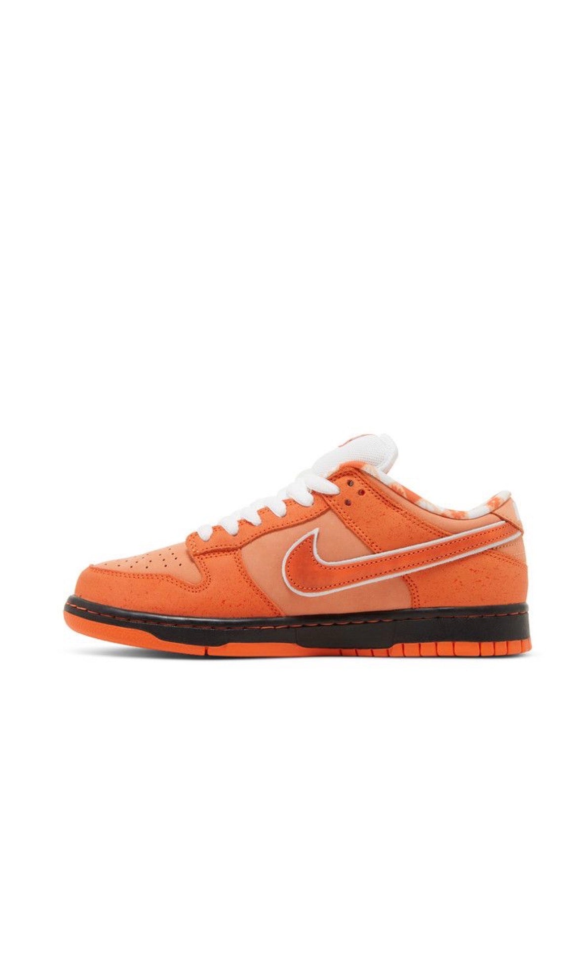 Concepts x Nike Dunk Low SB orange lobster