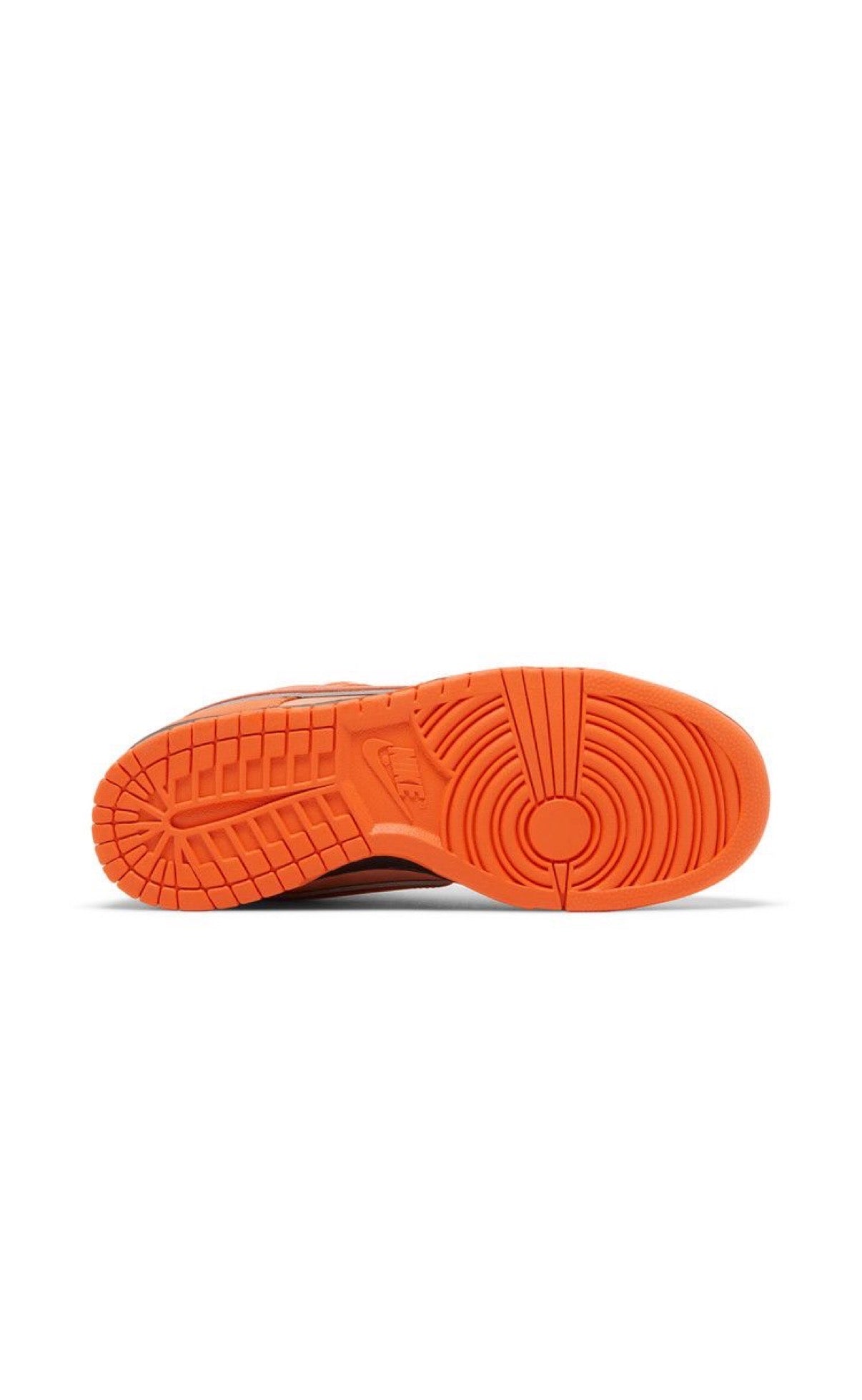 Concepts x Nike Dunk Low SB orange lobster