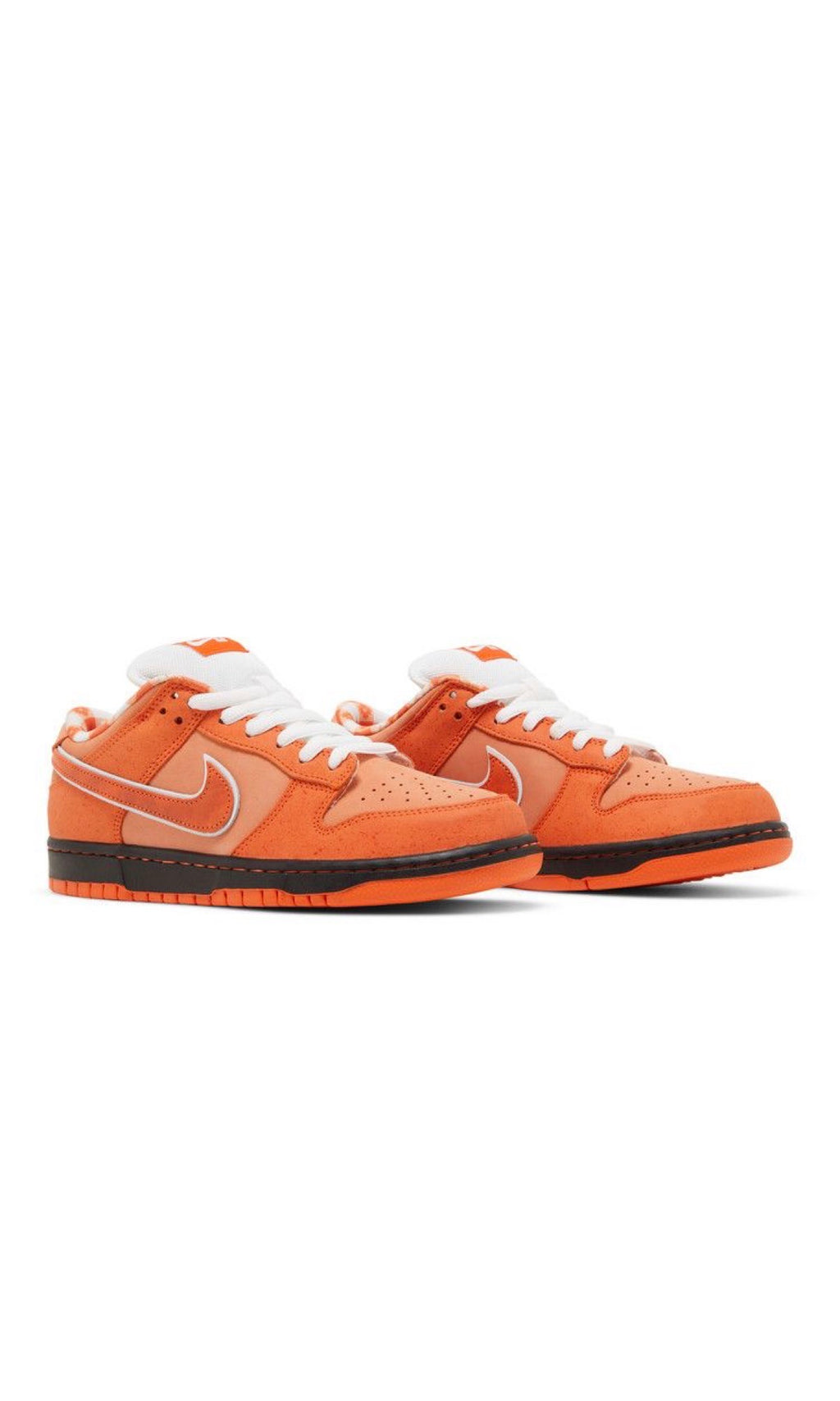 Concepts x Nike Dunk Low SB orange lobster