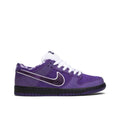 Nike concepts x Dunk Low SB purple lobster