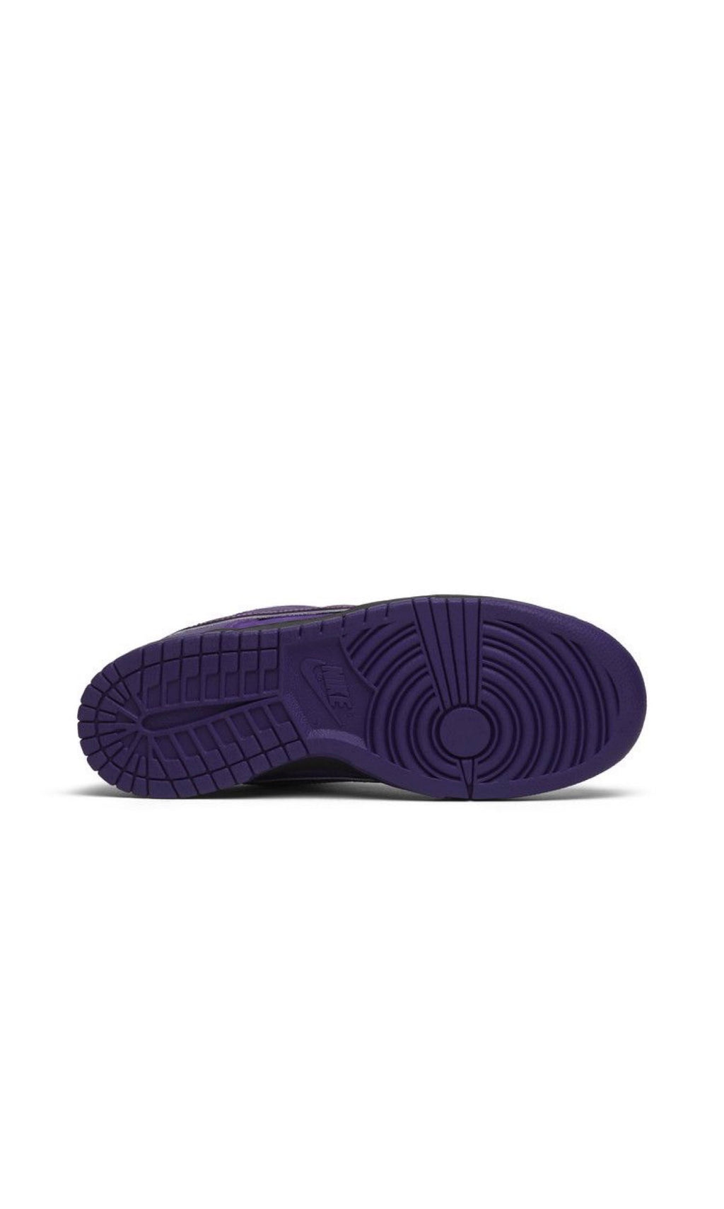 Nike concepts x Dunk Low SB purple lobster