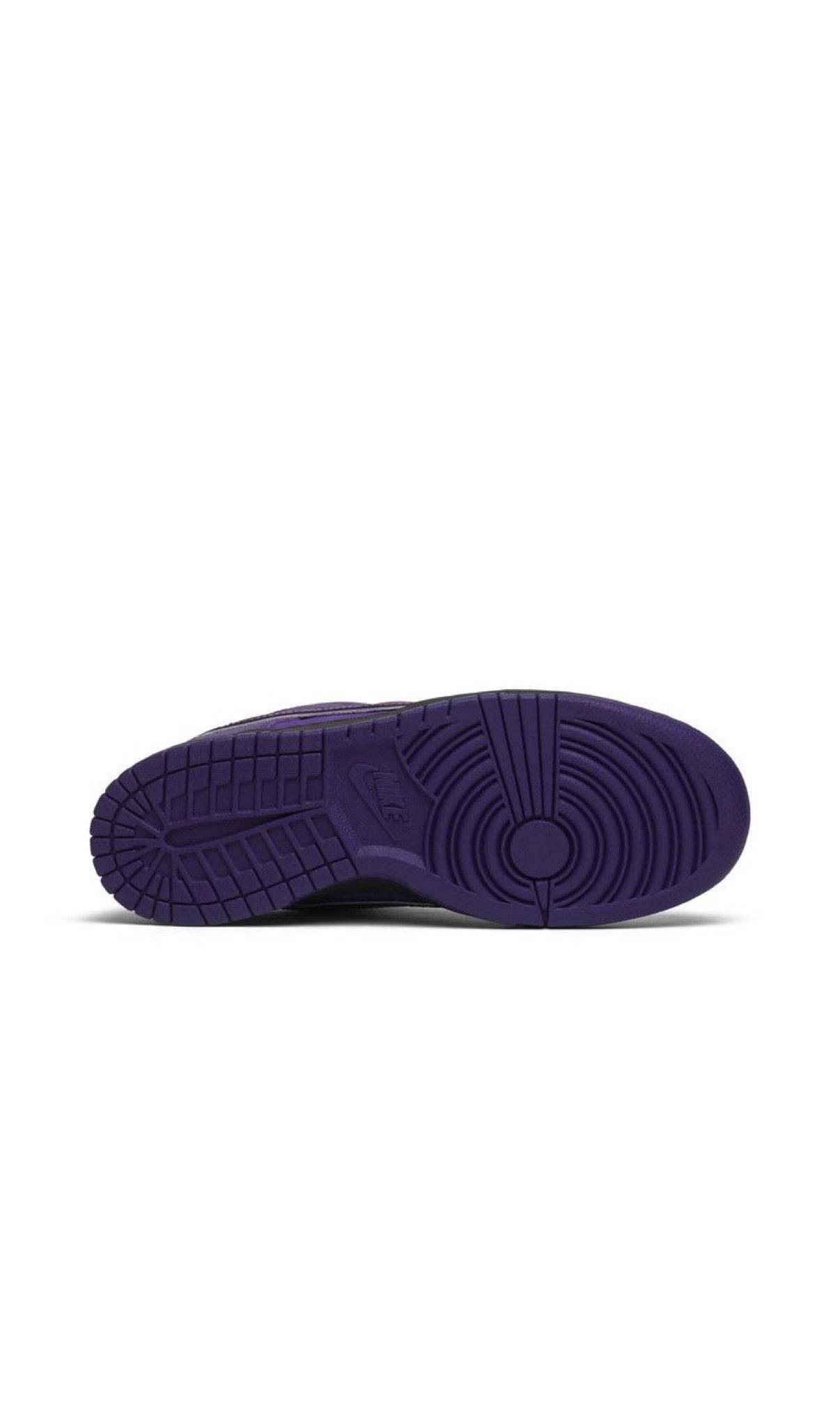 Nike concepts x Dunk Low SB purple lobster