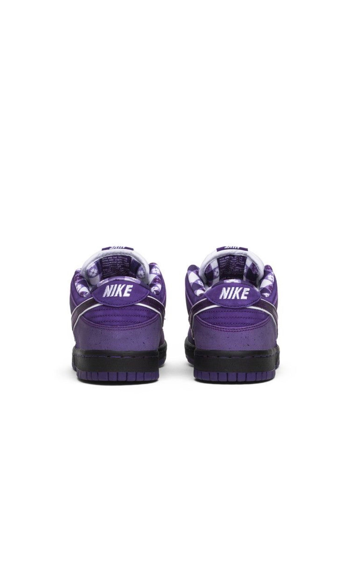 Nike concepts x Dunk Low SB purple lobster